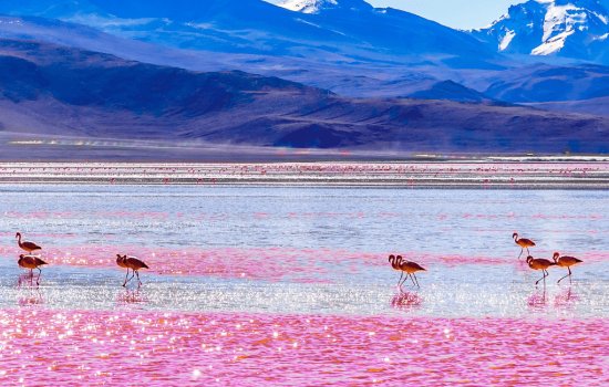 Adventure Holidays With Teens