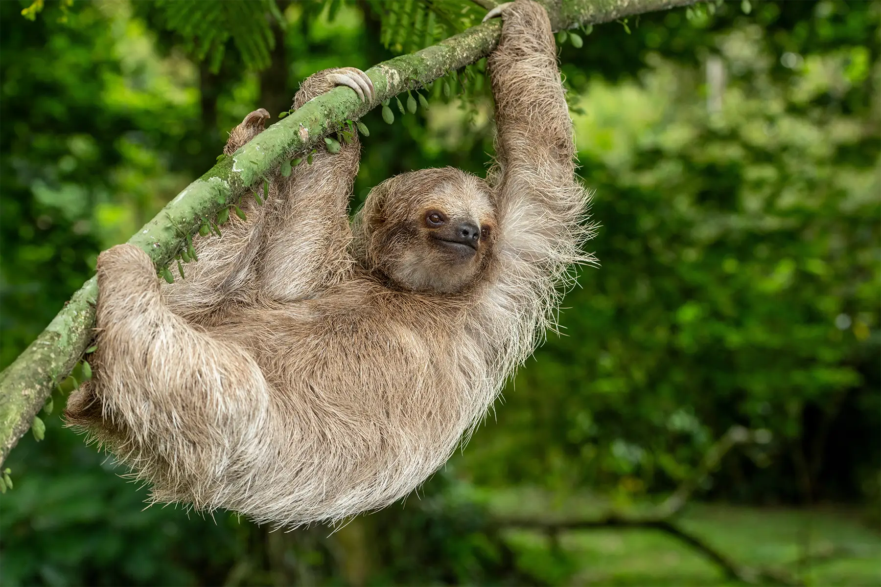 Stunning Costa Rica Holidays
