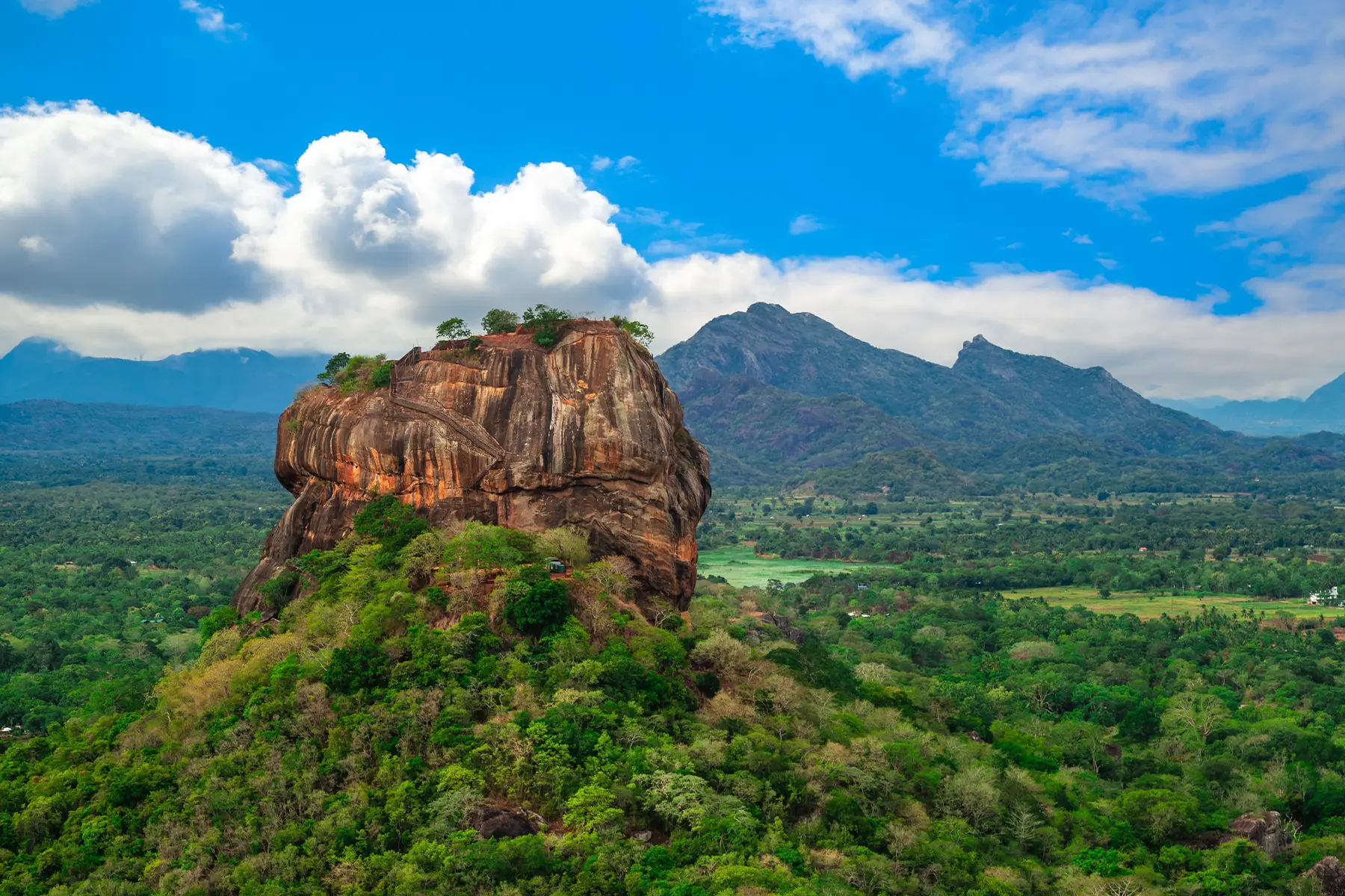 The Cool-Climate Charm: Why the Sri Lankan Highlands are the Best Spring Holiday of 2026