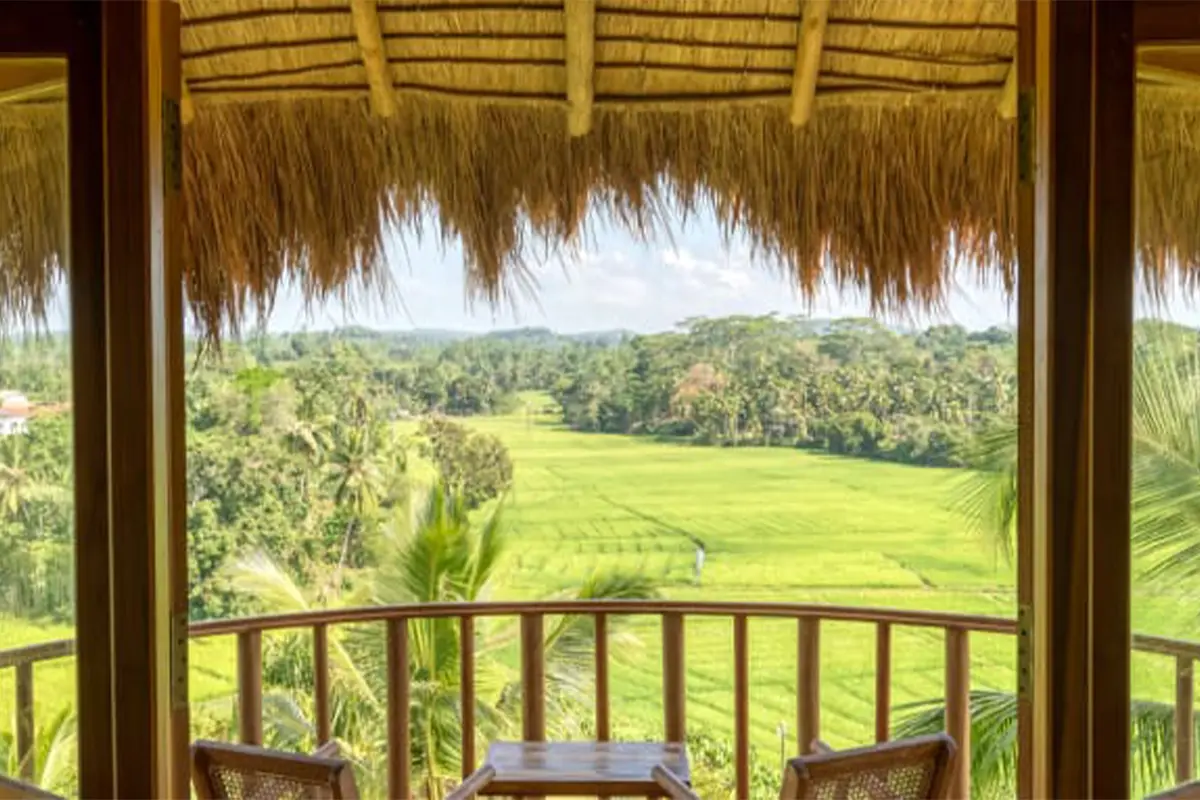 Is Google Stifling Your Travel Dreams?