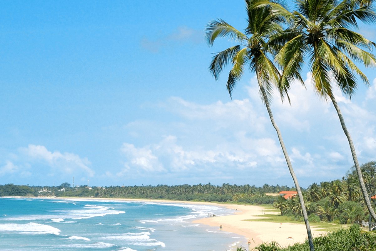 Sri Lanka’s Gastronomic Delights: A Tour Through the Island’s Best Flavours